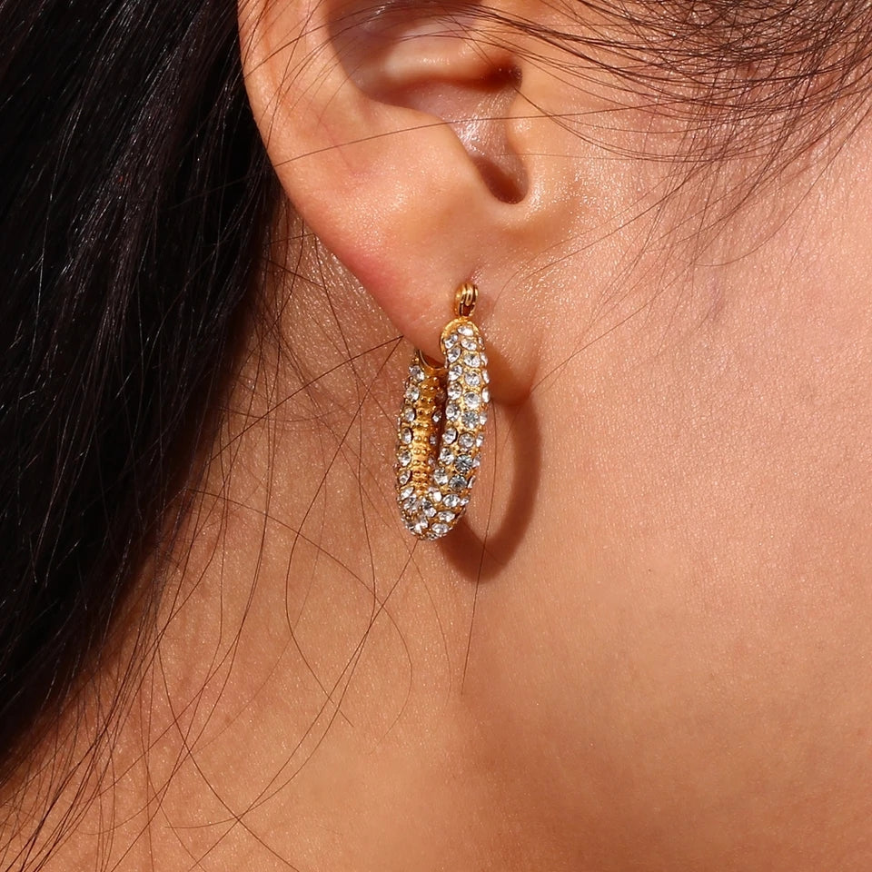 Luxury Zircon Hoops